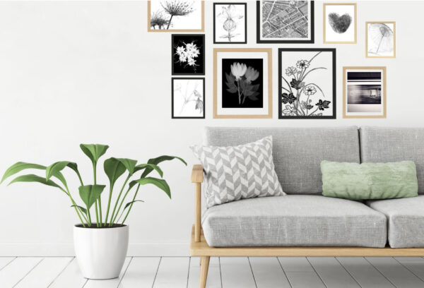 Cadres & Accessoires photo