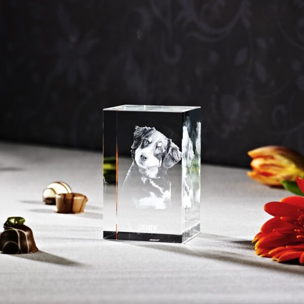 3D Photo Laser