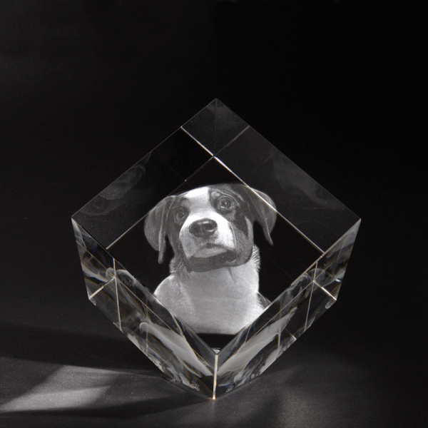 3D Photo Laser