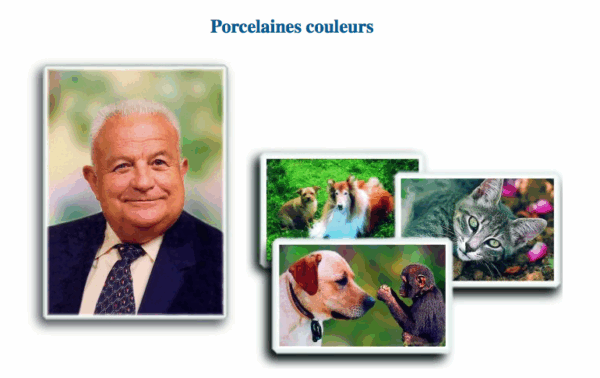 Médaillon Porcelaine Photo Funéraire