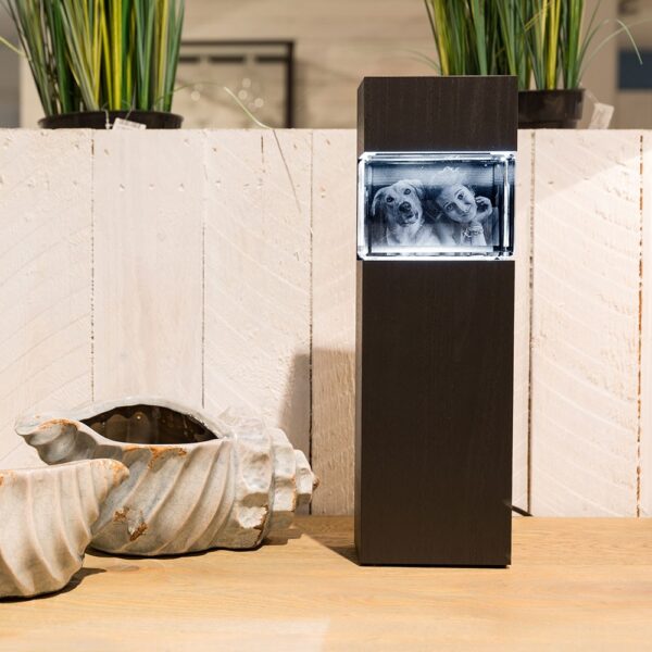 Colonnes Lumineuses pour photo laser 3D