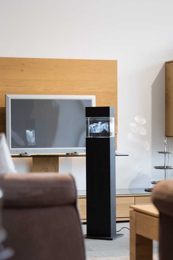 Colonnes Lumineuses pour photo laser 3D