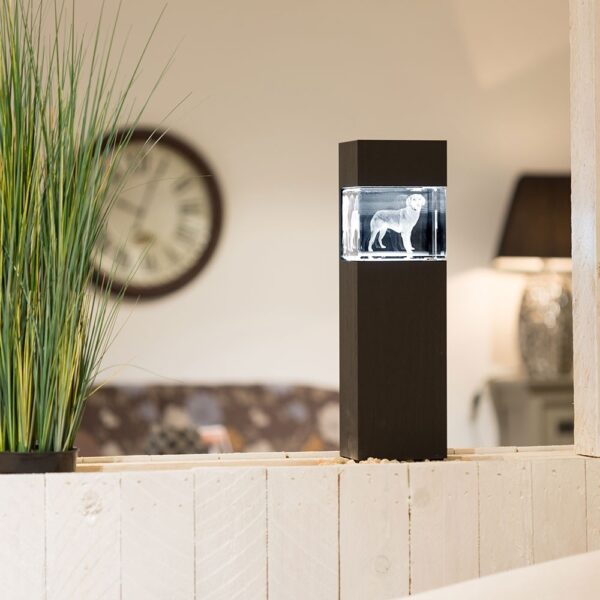 Colonnes Lumineuses pour photo laser 3D