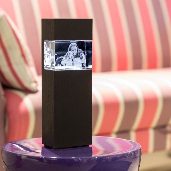 Colonnes Lumineuses pour photo laser 3D