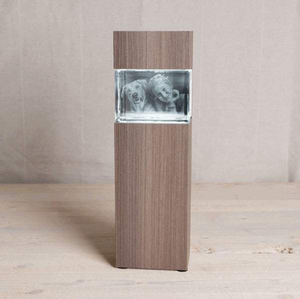 Colonnes Lumineuses pour photo laser 3D