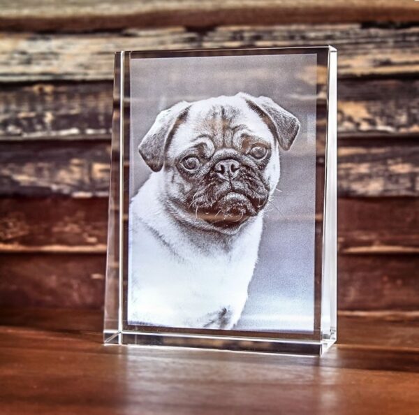 2D Photo Laser