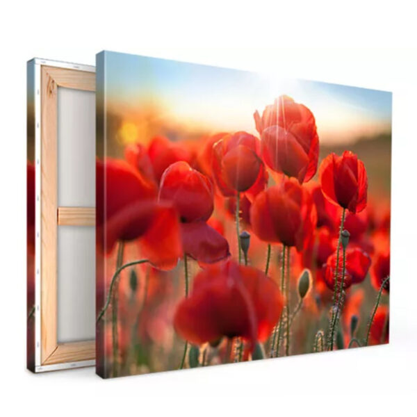 Photo sur Toile